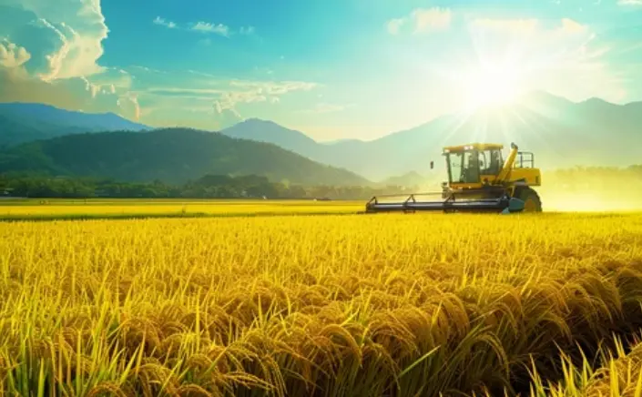 For a farmer which way is better for renting an excavator or purchasing one ?